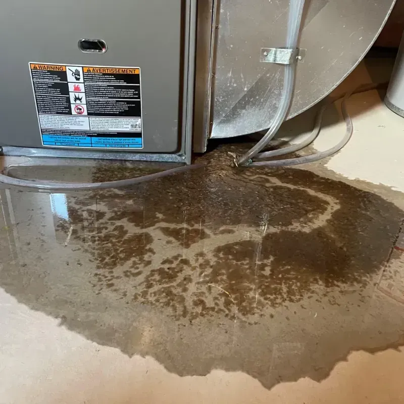 Appliance Leak Cleanup in Prunedale, CA